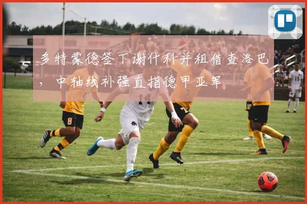 多特蒙德签下谢什科并租借查洛巴,中轴线补强直指德甲亚军